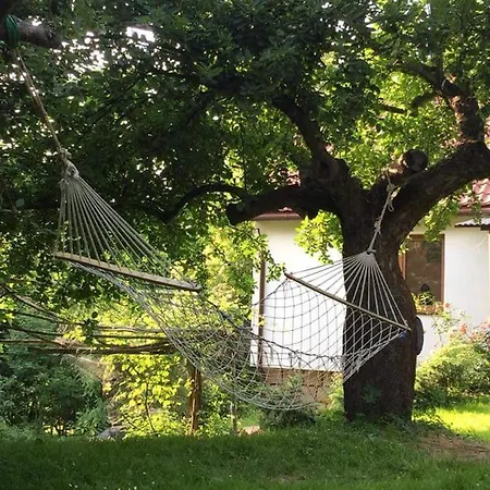 Деревянный коттедж Ranczo Dziki Sad Raciechowice