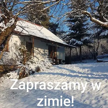 Ranczo Dziki Sad Raciechowice