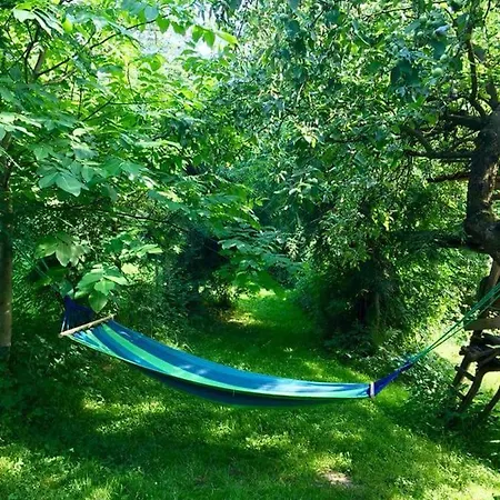 Деревянный коттедж Ranczo Dziki Sad Raciechowice