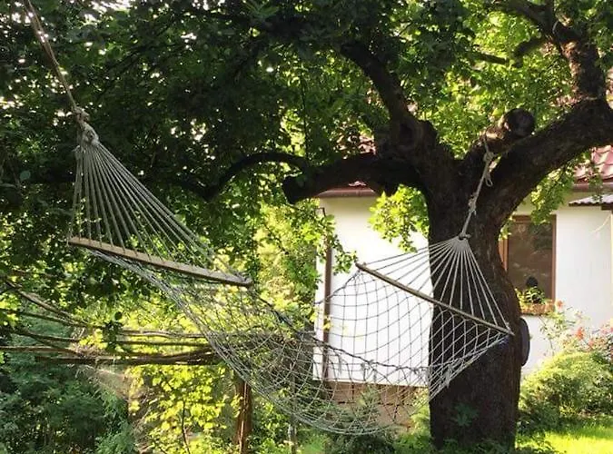 Lodge Ranczo Dziki Sad Raciechowice